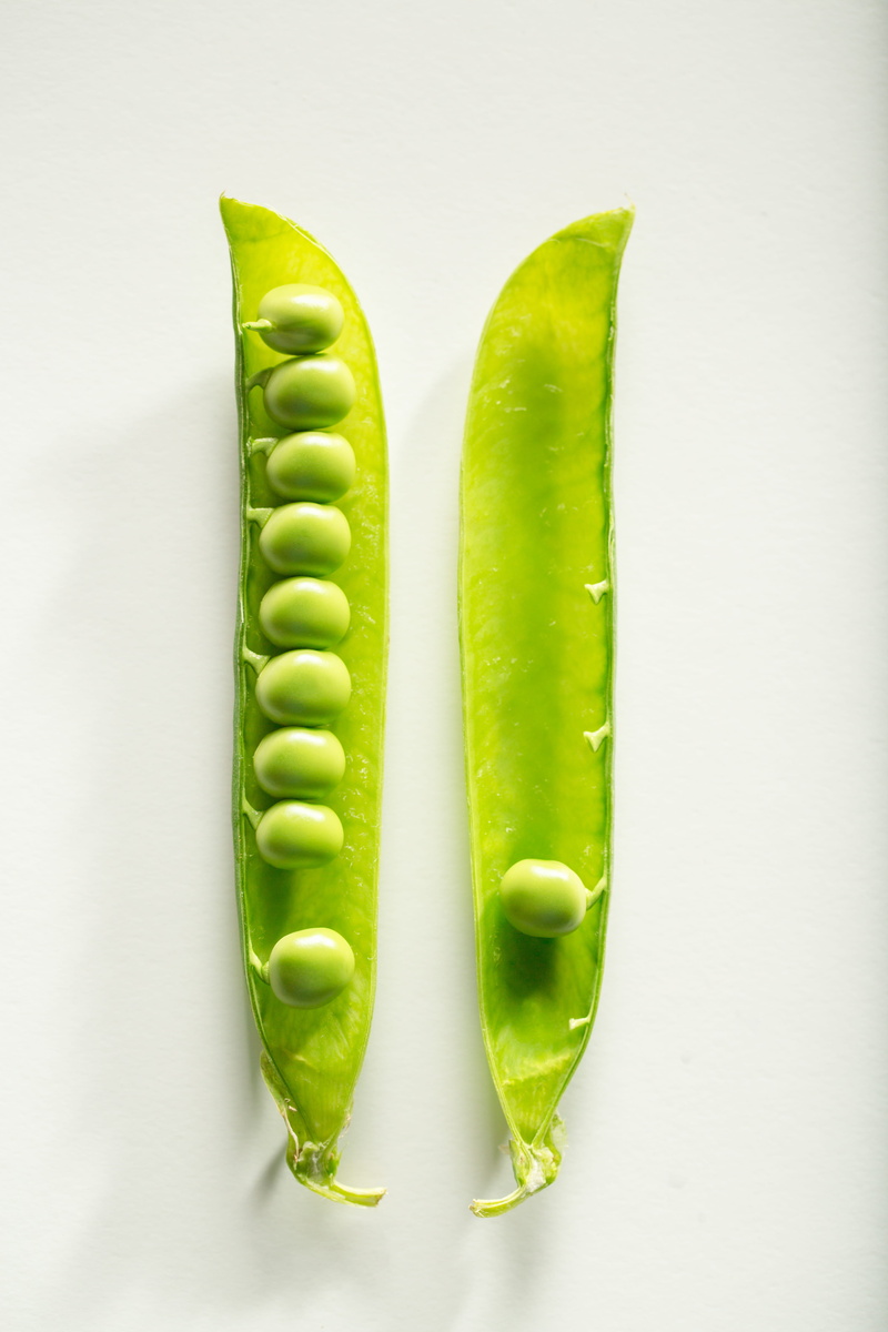 studio shot, colored background, flora, vegetable, no people, 5K, legume, grow, group of objects, food, freshness, health, wellbeing, organic, green, disjunct