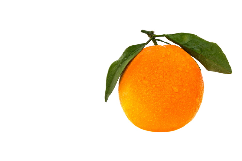 leaf, citrus, disjunct, 5K, desktop, white, eat, bright, dessert, plant part, nature, diet, sweet, vegetarian, no people, orange color, health, white background