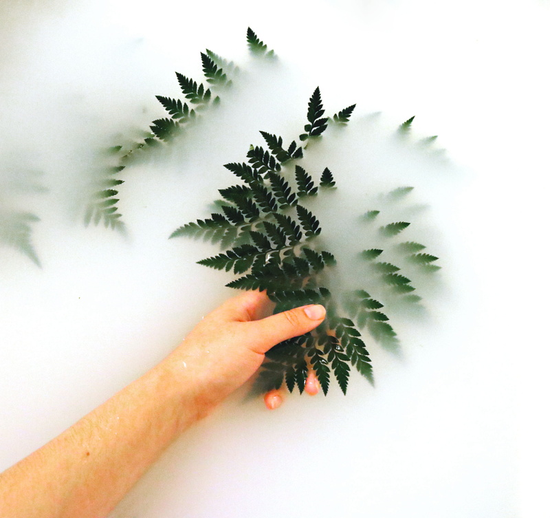 close-up, personal perspective, human hand, environment, beautiful, light, blur, dark green, unrecognizable person, fern, growth, outdoors, fern leaves