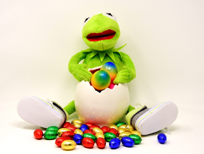 easter, food and drink, indoors, easter egg, decor, art and craft, happy easter, easter bunny, springtime, studio shot, kermit, colorful eggs, assorted