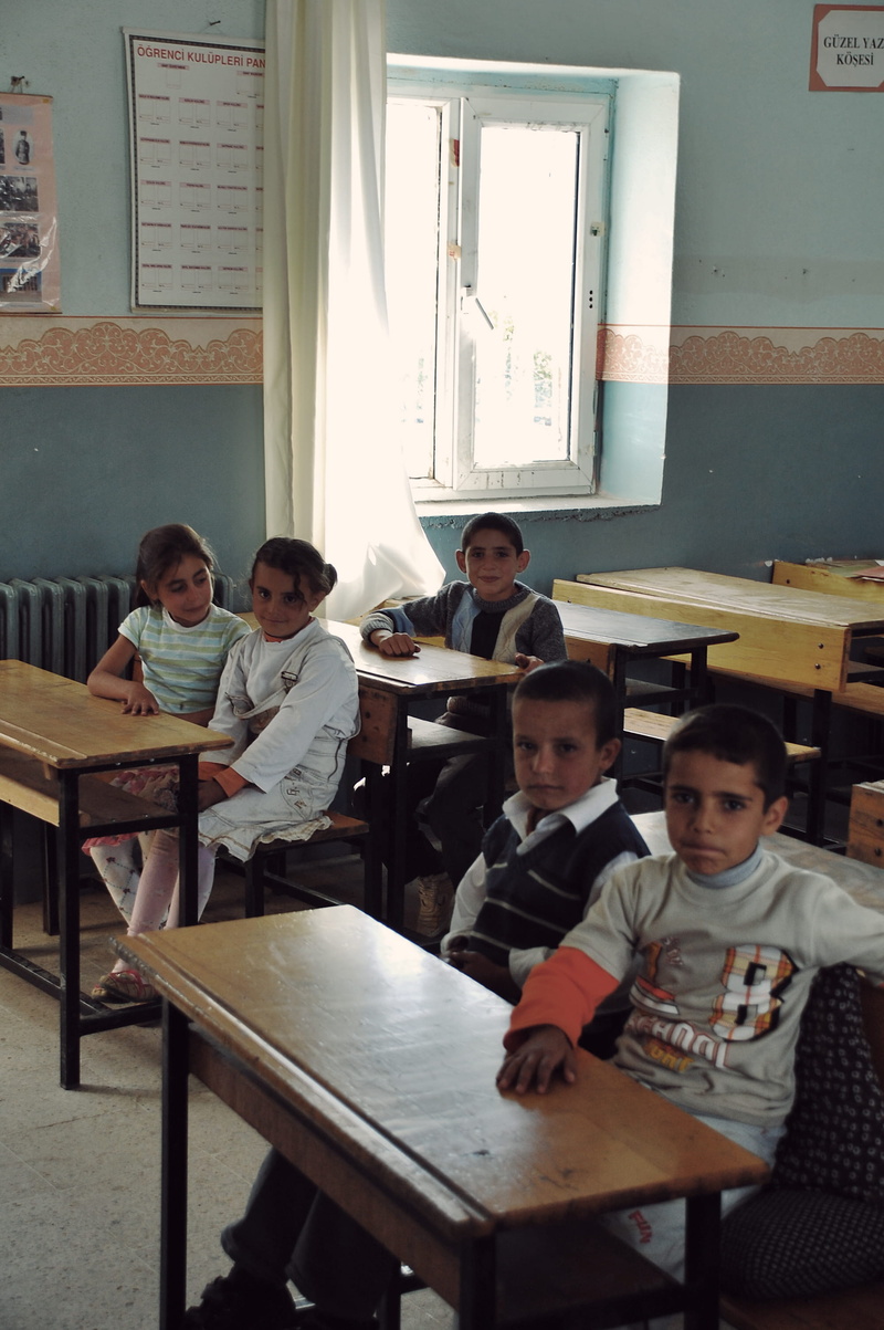 people, education, table, primary, childhood, sitting, adolescence, pre-adolescent child, indoors, group, erciş, kids, school, females, boys, teenage boys