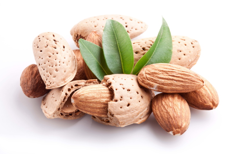 nut, nutshell, seed, healthy Eating, isolated On White, no People, cut out, shells, nut - Food, 5K, almonds, studio Shot, food And Drink, snack, leaf