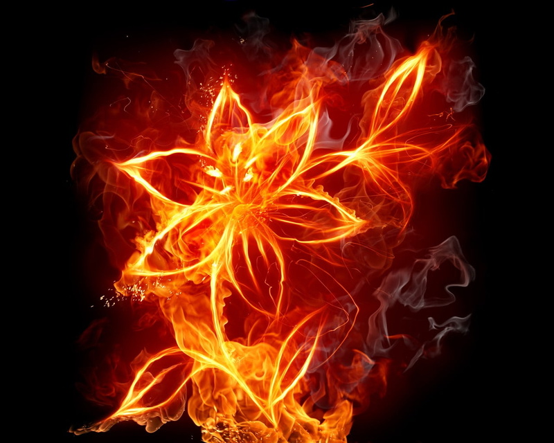 720P, fire, digital art, Flame Painter, digital painting, flowers