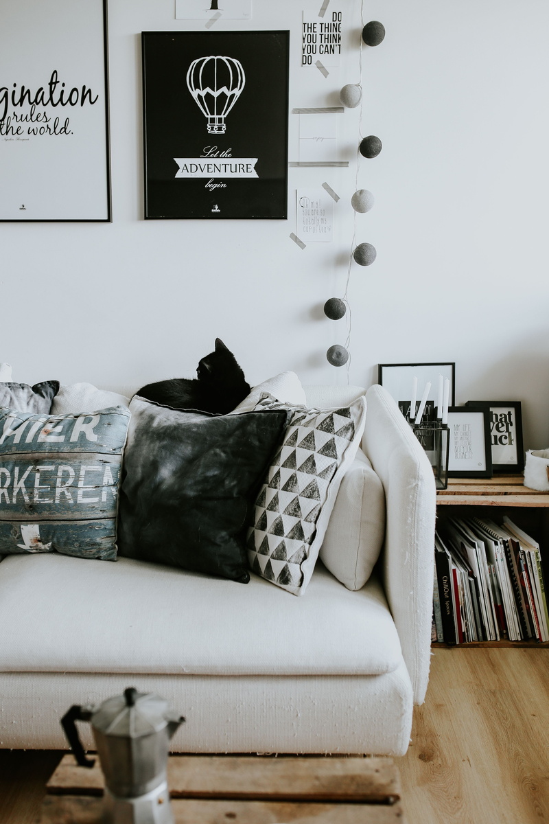 furniture, magazines, cat, bedroom, white, large group of objects, white home, indoors, decoration, interior, home decor, cushion, modern, black, clothing