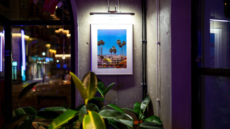 close-up, blossom, lights, lighting, no people, cafe, 8K, nature, palm, monitor, transparent, beside, indoors, architecture, window, flowering plant, home decor