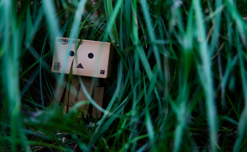 outdoors, plant, 4K, dambo, anthropomorphic face, land, lonely, selective focus, green color, day, box, nature, field, face, Grass, smiling, human representation