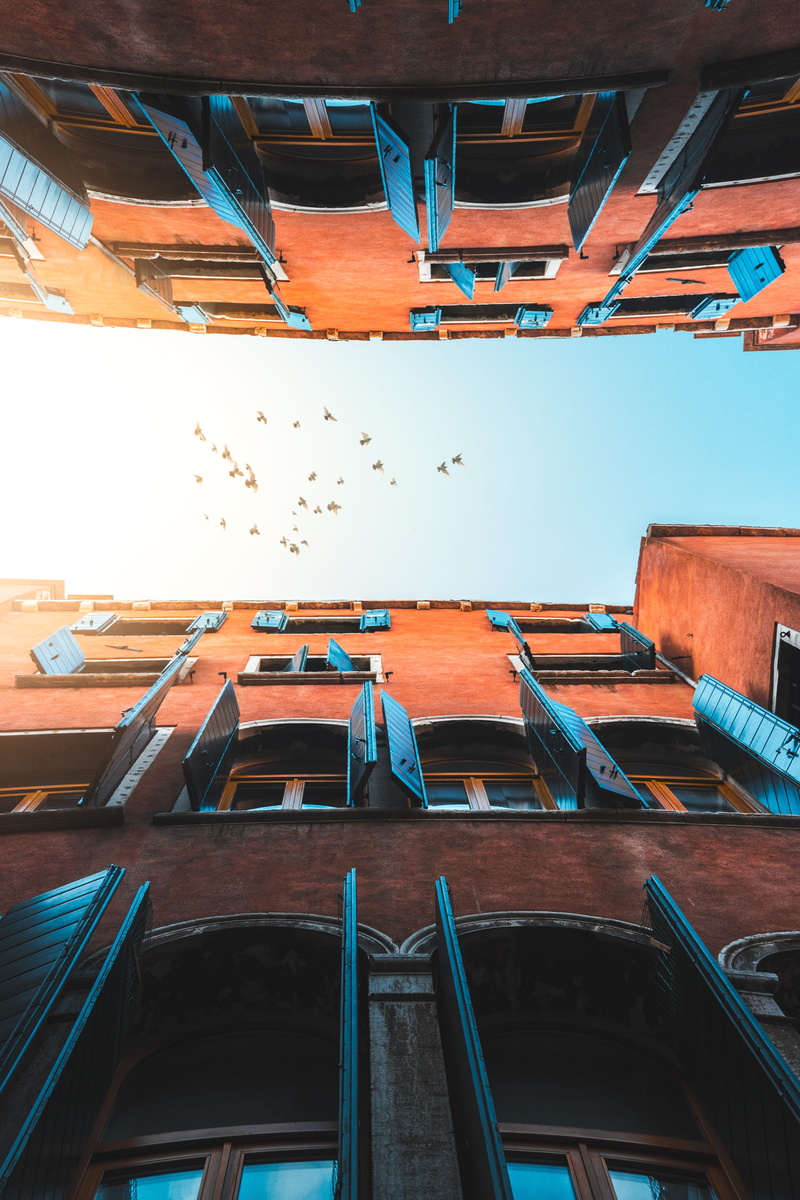 built structure, sunrise, architecture, window, eye, vibrant, residential district, low angle view, open window, facade, pigeon, brown, building, sunlight