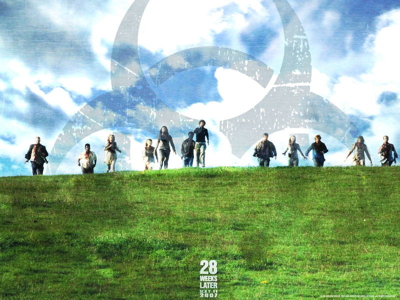 leisure activity, cloud - sky, grass, plant, day, real people, large group of people, group of people, crowd, lifestyles, men, sky, outdoors, landscape