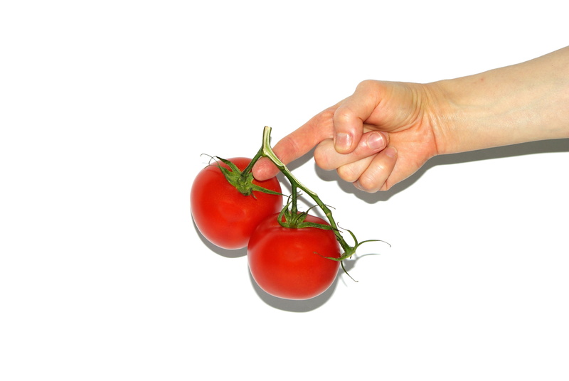 freshness, one person, studio shot, ripe, tomato, food and drink, holding, 4K, plant, white background, finger, hand, fruit, red, healthy eating, white