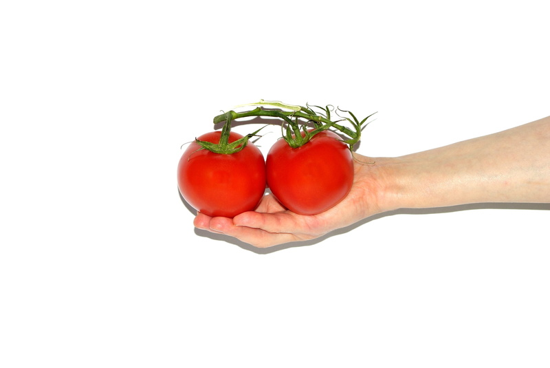 human body part, healthy Eating, copy space, Tomato, cut out, Woman, isolated On White, Hands, wellbeing, white Background, isolated, vegetarian Food, nature