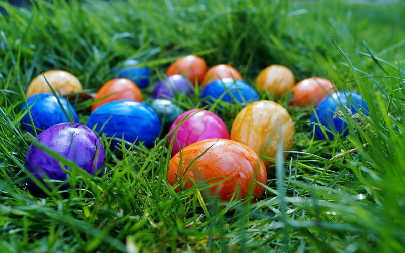 green Color, the tradition of, Easter, selective focus, nature, easter, green, eggs, easter eggs, color eggs, decoration, animal Egg, Spring, celebration