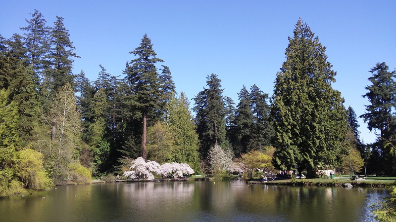 no people, sky, beauty in nature, canada, outdoors, park, pond, non-urban scene, tranquility, water, day, lake, coniferous tree, pine woodland, reflection