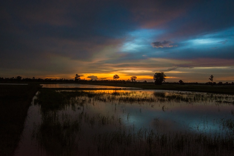 the scene, non-urban scene, sky, asia, countryside, myanmar burma, rice, plant, golf club, cornfield, farmer, the job, nature, environment, rural scene