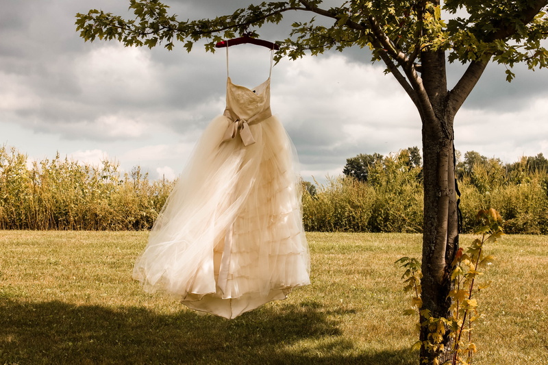 clothing, wedding gown, outdoors, flower arrangement, nature, sky, evening dress, growth, event, wedding dress, apparel, field, 5K, white color, life events