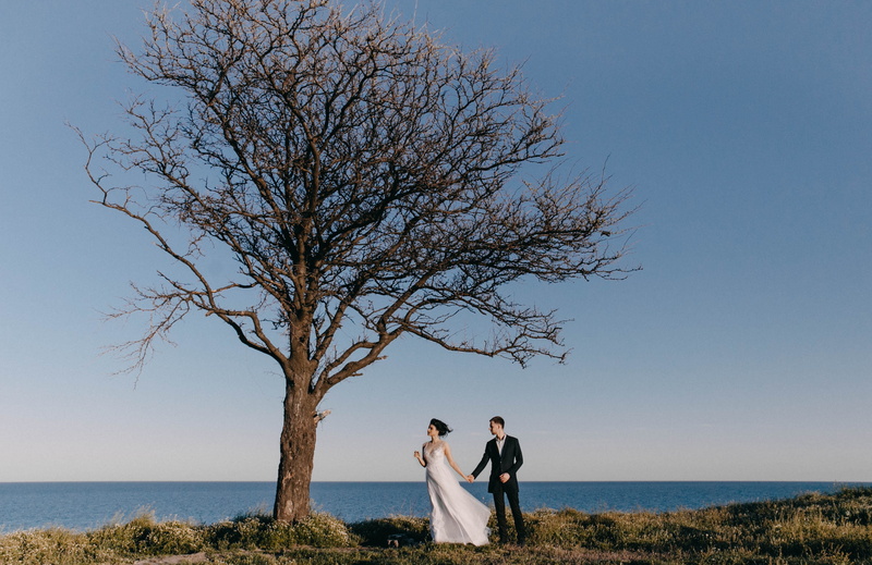 dom, emotion, sky, wedding gown, beauty in nature, love, bonding, tree, men, daytime, positive emotion, sea, women, tree trunk, fashion, evening dress