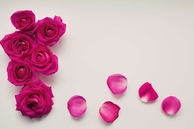 frame, bouquet, inflorescence, studio shot, background, valentines day - holiday, anniversary, border, high angle view, indoors, petals, flower, rose - flower