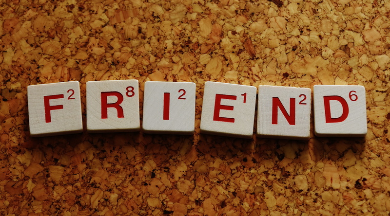 Friendship, western script, communication, together, 4K, high angle view, greeting card, message, nature, capital letter, day, snack, Letters, in a row