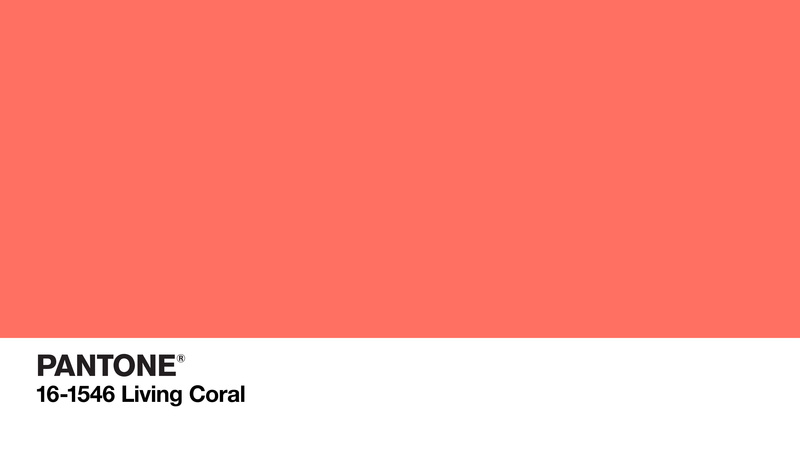 color codes, logo, minimalism, colorful, pink, coral, solid color, 5K