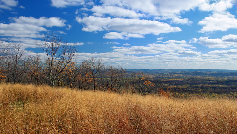 hiking, Appalachian Trail, withered, tree, stratus clouds, forest, Mount Minsi, grass  trees, Delaware Water Gap National Recreation Area, Blue Mountain