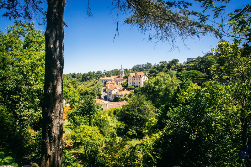 4K, green color, tree trunk, built structure, house, jungle, tree, building exterior, beauty in nature, residential district, clear sky, trees, countryside