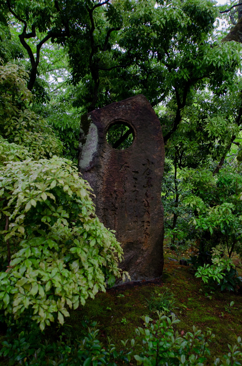 architecture, arch, herbs, nature, day, plant, the past, jar, flagstone, rust, tree trunk, potted plant, ivy, garden, tomb, slate, lush foliage, foliage