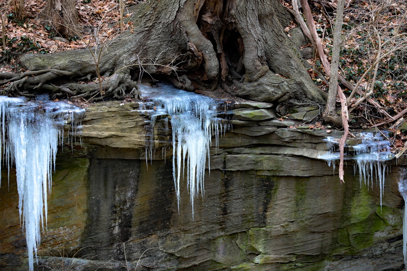 winter, day, plant, trunk, potted plant, snow, waterfall, rock formation, 5K, flowing water, outdoors, ice sickles, united states, tree, land, solid, no people