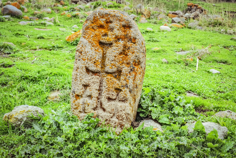 beauty in nature, ivy, growth, outdoors, focus on foreground, symbol, land, stone - object, tree stump, emblem, close-up, herbs, 2K, potted plant, no people