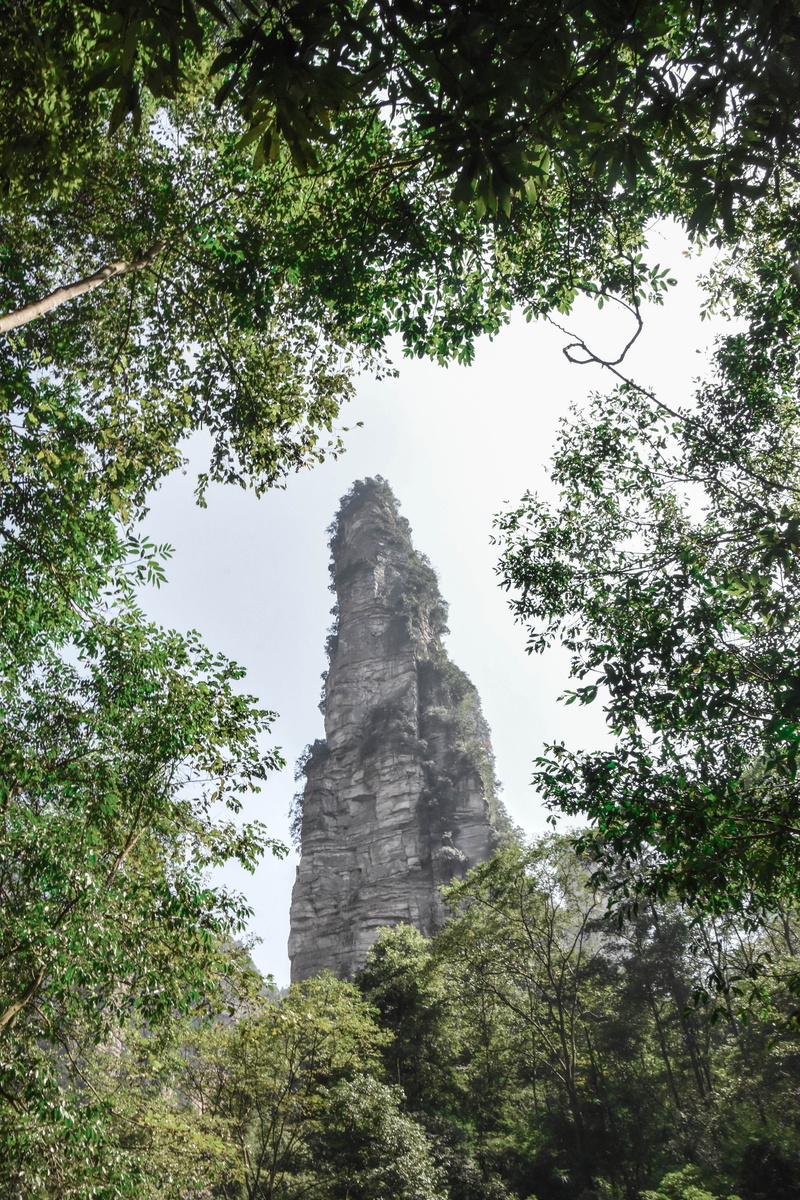 beauty in nature, building, 5K, travel, sky, forest, abies, arbour, religion, growth, formation, garden, rock - object, photography, low angle view, vase