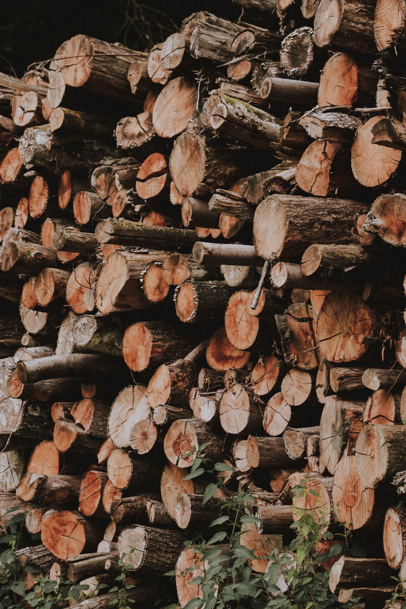 log, fuel and power generation, lot, potted plant, wood - material, lumber, large group of objects, stacked, woodpile, forest, 5K, ivy, firewood, jar