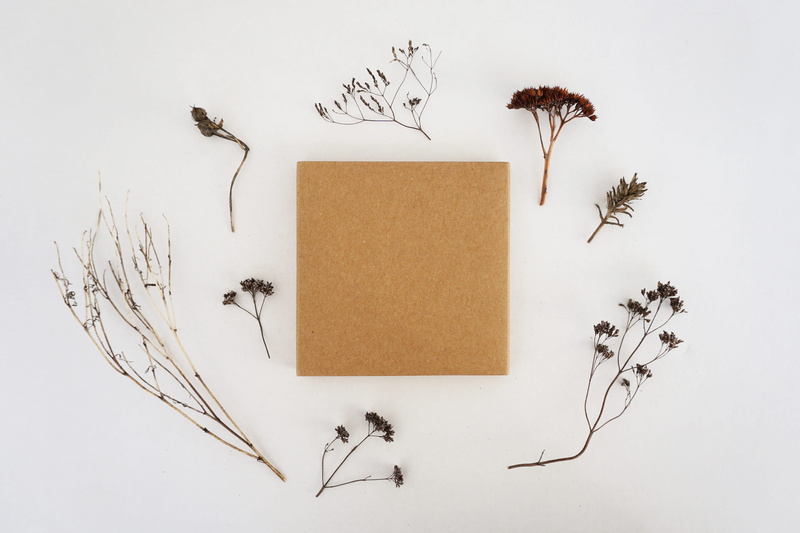 animal, flowers, representation, creativity, no people, nature, directly above, publication, drawing - art product, dried plant, paper, book, plant part