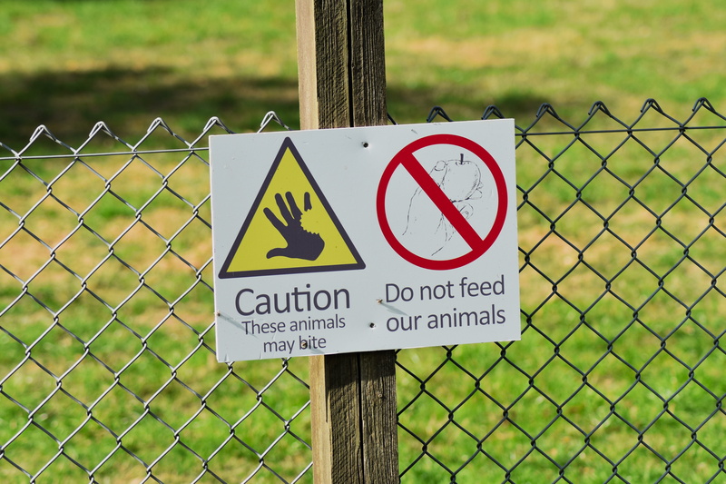 protection, forbidden, beware, text, danger, board, shape, warning symbol, communication, sign, notice, hand, information sign, hazardous, bitten, symbol