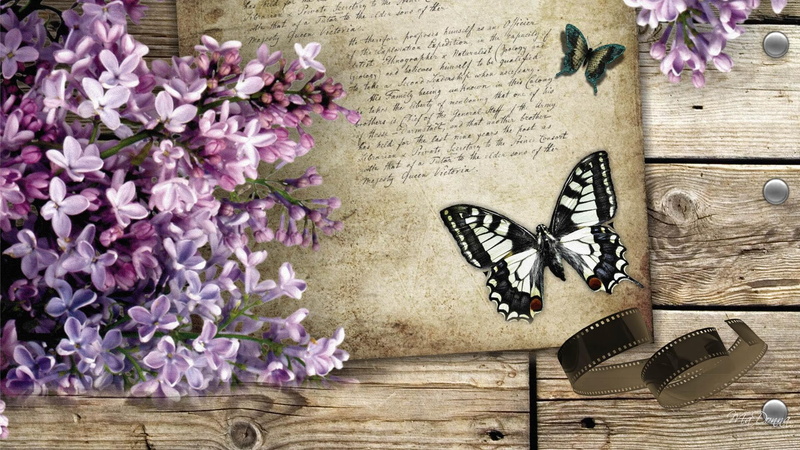 vintage, 3d and abstract, film strip, antique, boards, butterfly, 1080P, old paper, lilacs, letter