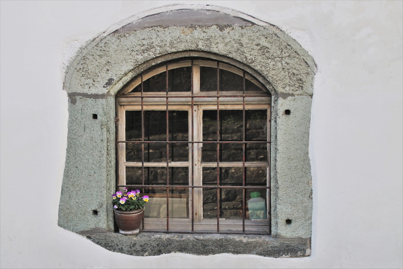 plant, no people, window sill, material, building exterior, security, built structure, flower pot, flowering plant, window, nature, façades, old, architecture