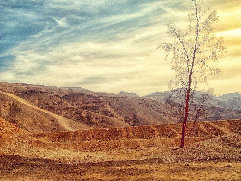 country, climate, erosion, heat, summer, idyllic, dry, scenic, dirt, beauty in nature, nature, tranquil scene, mountain range, bare, harsh, ground, mountains