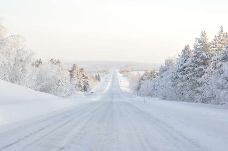 diminishing perspective, ice road, day, direction, the way forward, fog, snowy tree, hill, clear, covered, cloud, landscape, winter, covering, nature, beauty in nature