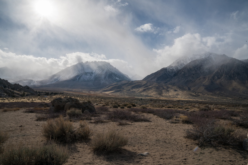 field, 8K, cloud, desolate, arid climate, brush, land, bush, mist, day, insperational, photography, remote, cloud - sky, plants, work place, sand, offic