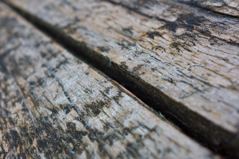 flooring, Texture, wooden wall, nature, concentric, metal, wood, abstract, table, pattern, material, Wood, Board, structure, selective focus, boards bridle