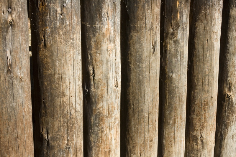 wood, stack, in a row, side by side, bamboo - plant, forest, bohlen, tree, textured, background, full frame, close-up, wood - material, arrangement, brown