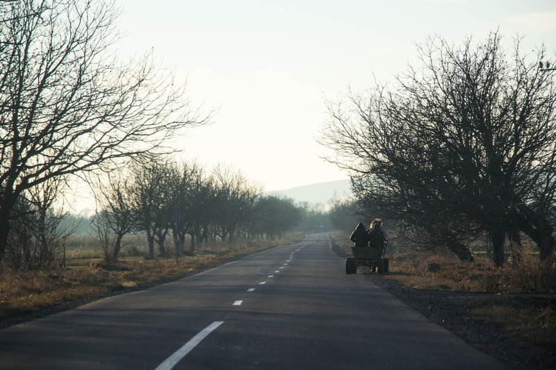 transportation, nature, bare tree, farmer, tiller, plant, tree, outdoors, one person, landscape, peasant, road, mode of transportation, rear view, diminishing perspective