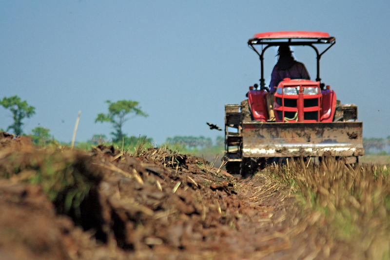 agricultural equipment, no people, sky, shallow, tiller, growth, outdoors, industry, mode of transportation, plant, land, Pushcart, selective focus, land vehicle