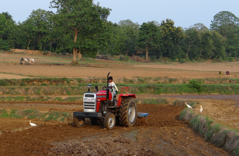 day, 4K, men, farm, field, nature, tilling, landscape, tractor, growth, plant, equipment, tree, mode of transportation, one person, outdoors, agriculture