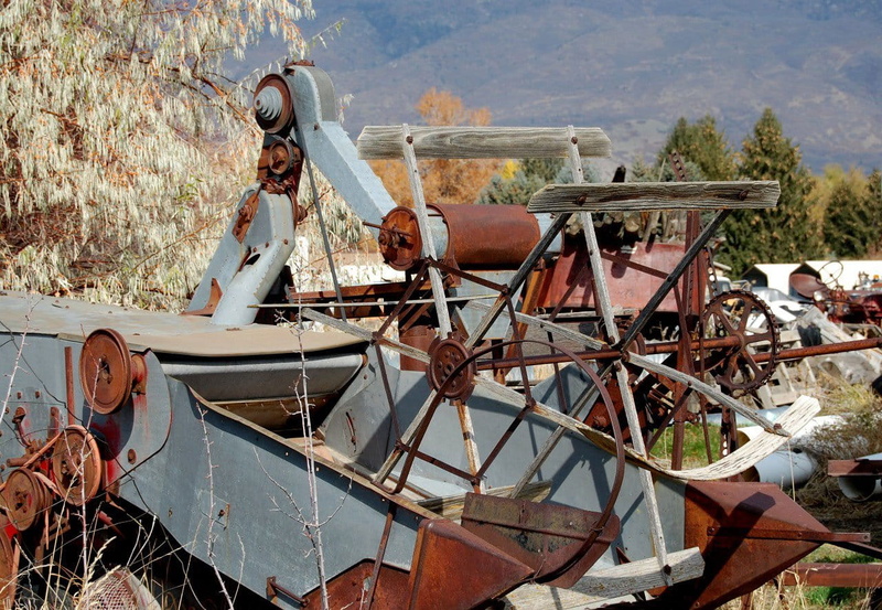 nautical vessel, men, land, land vehicle, plant, outdoors, machinery, sunlight, rusted, farm, tree, agricultural machinery, abandoned, nature, tiller, agriculture