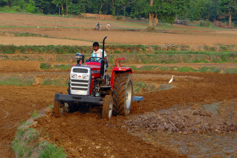 environment, 4K, one person, landscape, tractor, nature, india, outdoors, tilling, land vehicle, land, driving, farmer, plant, dirt, tiller, karnataka