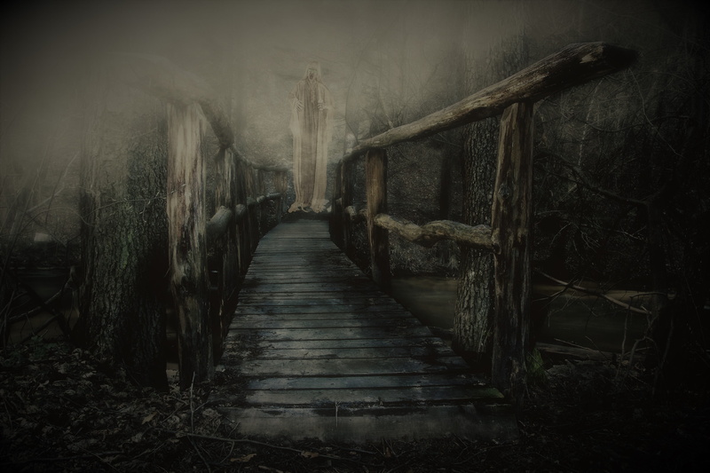 empty, footpath, no people, plant, secret, nature, tunnel, land, nervous, old, outdoors, wood - material, shadow, 5K, empire, tranquility, darkness, diminishing perspective