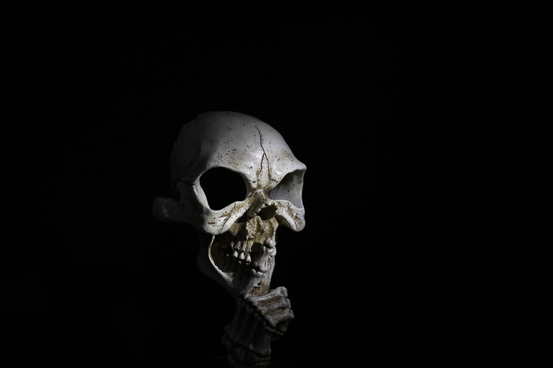 people, human skull, halloween, indoors, close-up, skull, skull and crossbones, bone, dark, spooky, human skeleton, horror, nervous, still life, human body part