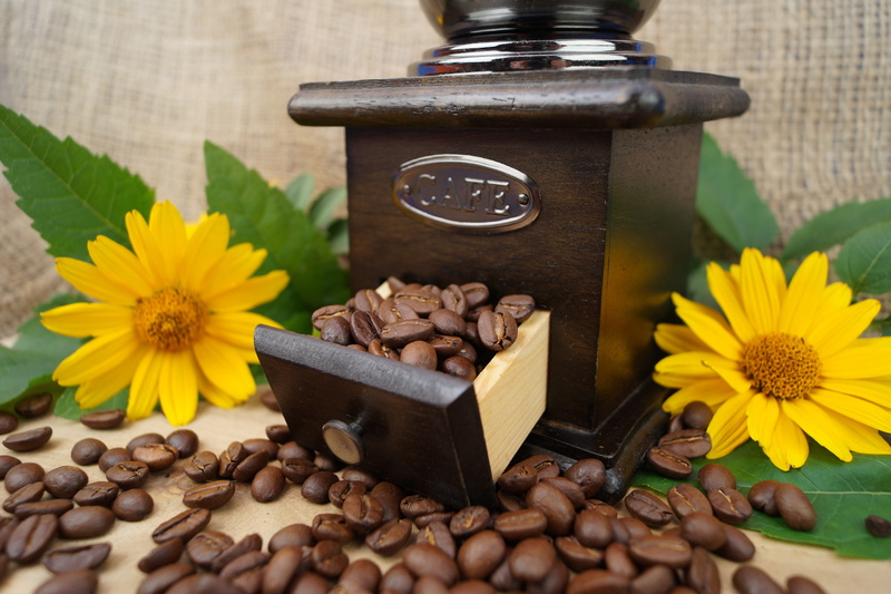 benefit from, cafe, coffee beans, coffee mill, food and drink, petal, sunflower, yellow, still life, flower, close-up, roasted beans, coffee, aroma, flower head