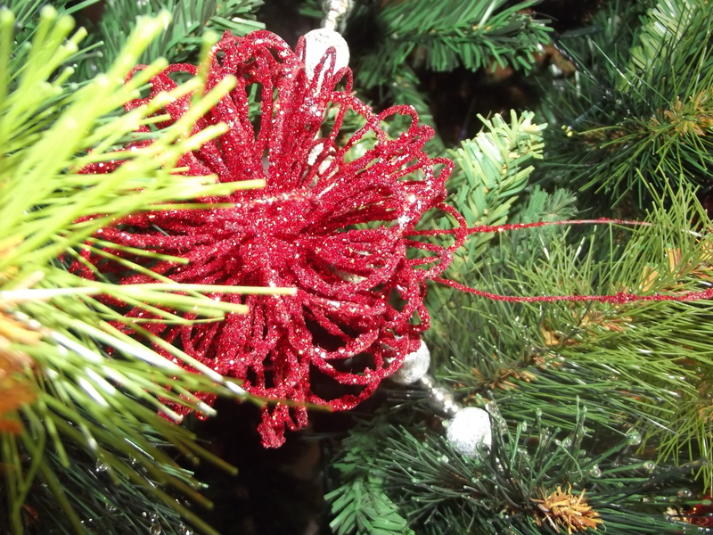 christmas tree, 2K, freshness, close-up, coniferous tree, outdoors, pine tree, nature, christmas decoration, flower head, beauty in nature, vulnerability