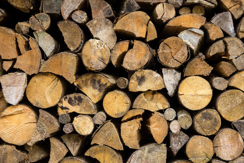forestry, tree, forest, lumber industry, sawed off, combs thread cutting, woodpile, pattern, deforestation, 5K, full frame, timber, stacked up, firewood