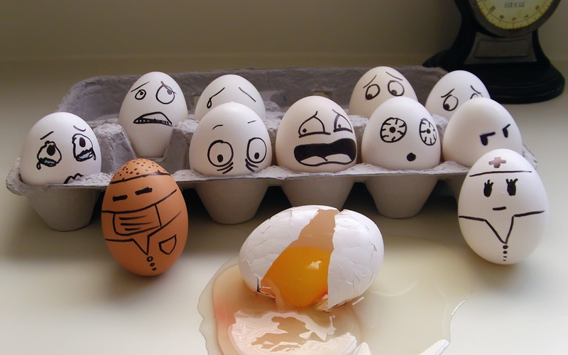 1080P, minimalism, brown, egg, lot, white, eggs
