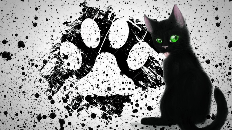 no people, feline, paint splatter, domestic animals, black, domestic, indoors, pets, 1080P, portrait, black cats, looking, painting, whisker, cat, domestic cat